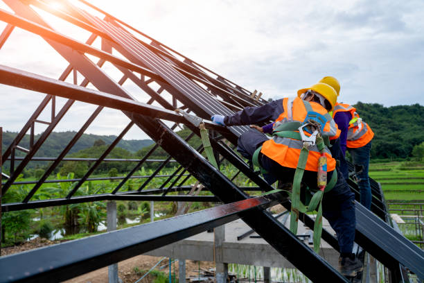 Best Roof Gutter Cleaning  in Clearview, WA
