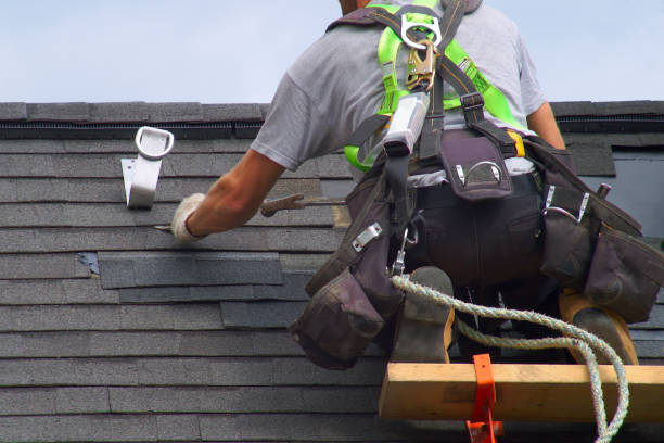 Best Roof Leak Repair  in Clearview, WA